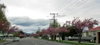 Copy of IMG_3304v.webp