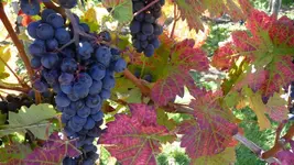 K800_Briedern 2012 034.webp