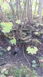 20121007_163353.webp