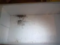 10102012072.webp