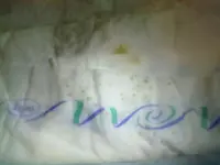 10102012073.webp