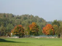 DSC00758.webp