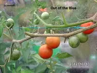 BILD0947.webp