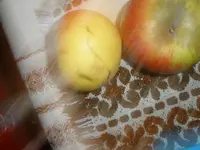 PA080007.webp