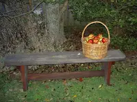 Copy of Apfelernte (56)v.webp