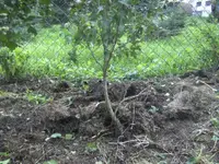 BILD1779.webp