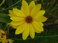 DSCI0294.webp