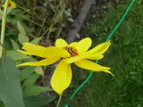 DSCI0295.webp
