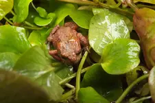 2012_1010Herbst0038.webp