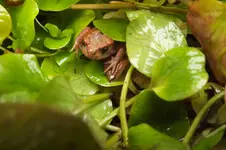 2012_1010Herbst0039.webp
