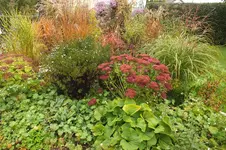 2012_1010Herbst0030.webp