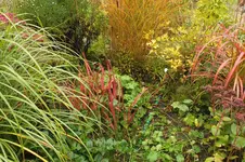 2012_1010Herbst0034.webp