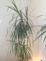 IMG_06dfgsdfg01.webp