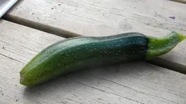 DSCN3867.webp