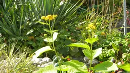 DSCN3852.webp