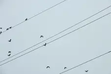 2012_1011Herbst0020.webp