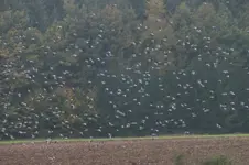 2012_1011Herbst0025 m.webp