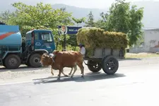 Büchermammut Gestern und heute.webp Büchermammut Gestern und heute.webp