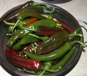 Chili.webp
