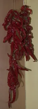 Chili2.webp
