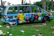 Schneerose1 Gartenbeet und Tümpel.webp Schneerose1 Gartenbeet und Tümpel.webp