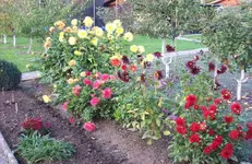 Blumenrabatte 4.webp