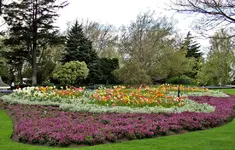 Copy of IMG_3223v.webp