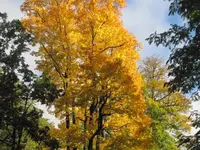 010.webp