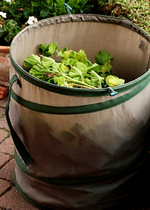 Gartensack voll Dahlienschnitt_400.webp