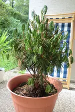 CIMG7273.webp