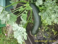JD500858.webp
