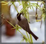 comp_DSC00476.webp