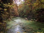 2011_1101Herbst0008.jpg