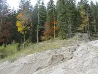 022.webp