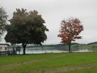 043.webp