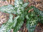 20121013_G2.jpg