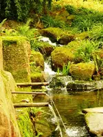 PMoos_und_Wasser.webp