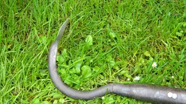 DSCN3000.webp