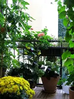 IMG_3948.webp