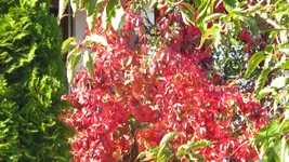 DSCN3869.webp