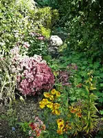 P1080640.webp