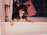 bella2.webp