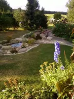 BachSept.1_12.webp