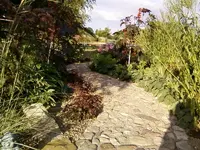 Feldsteinbeet1Sep12.webp