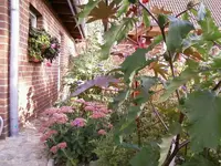 Fetthenne1_12.webp