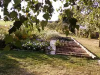 GemüsegartenSep12.webp