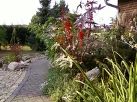 RicinusNeuesBeetSep2_12.webp
