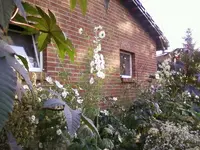 WeissesBeetSep2_12.webp