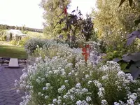 WeissesBeetSep5_12.webp