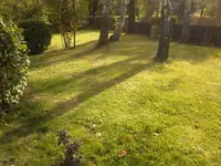 Sonnenschein.webp